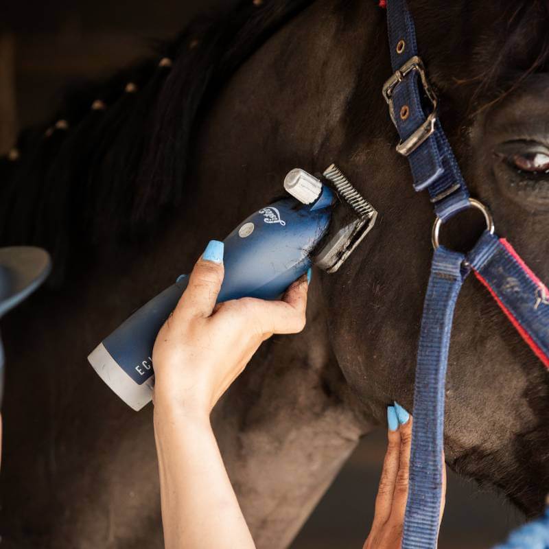 Person trims a horse's neck with the Lister Eclipse 2.0 Clippers Promo Kit by Lister.