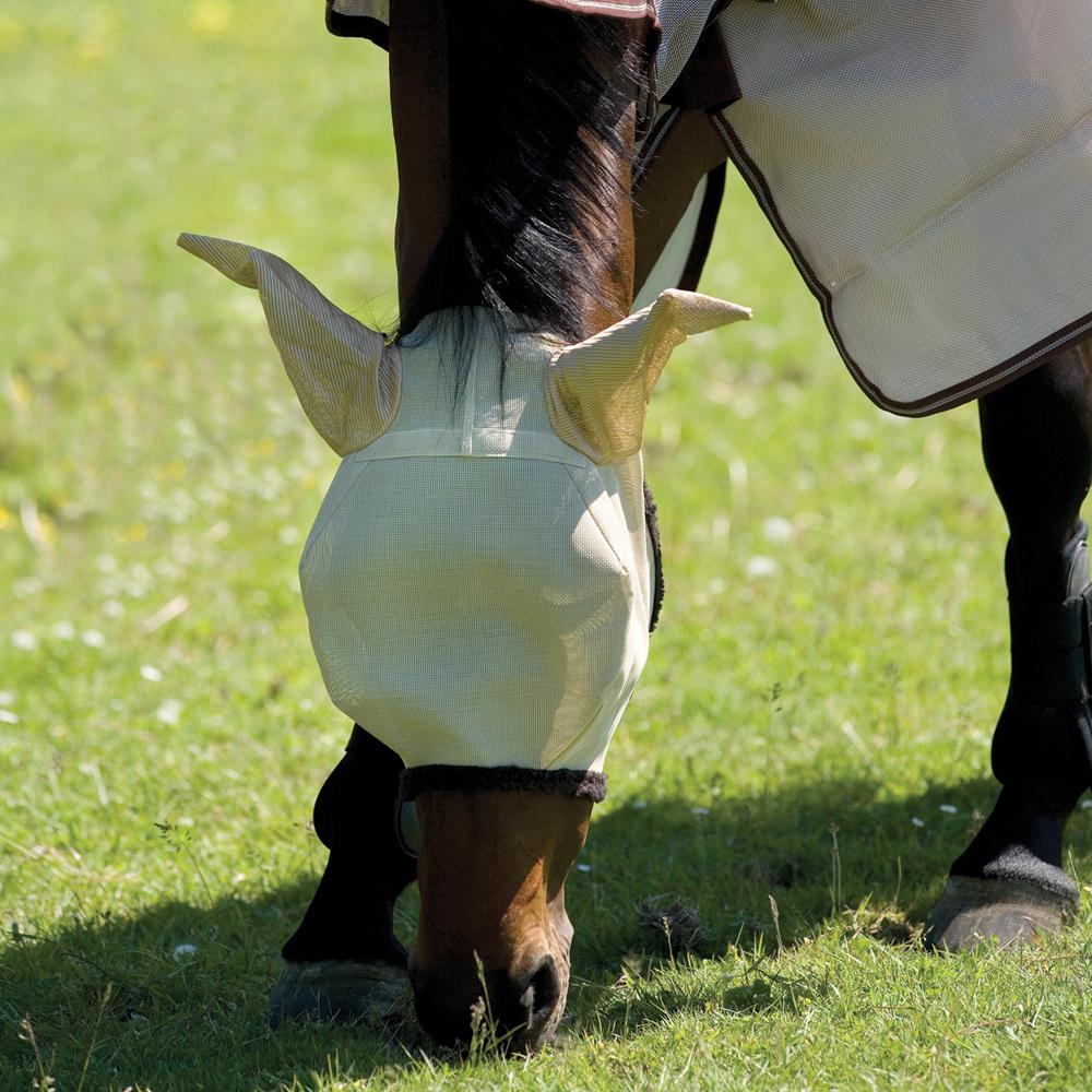 A horse in a Horseware Amigo Flymask Bronze/Red with ear covers grazes on green grass.