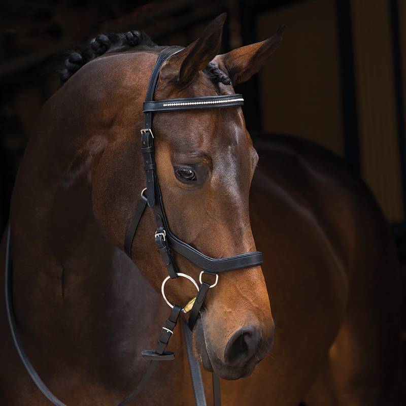 A brown horse wears the Horseware Rambo Micklem Diamante Competition Bridle Black indoors.