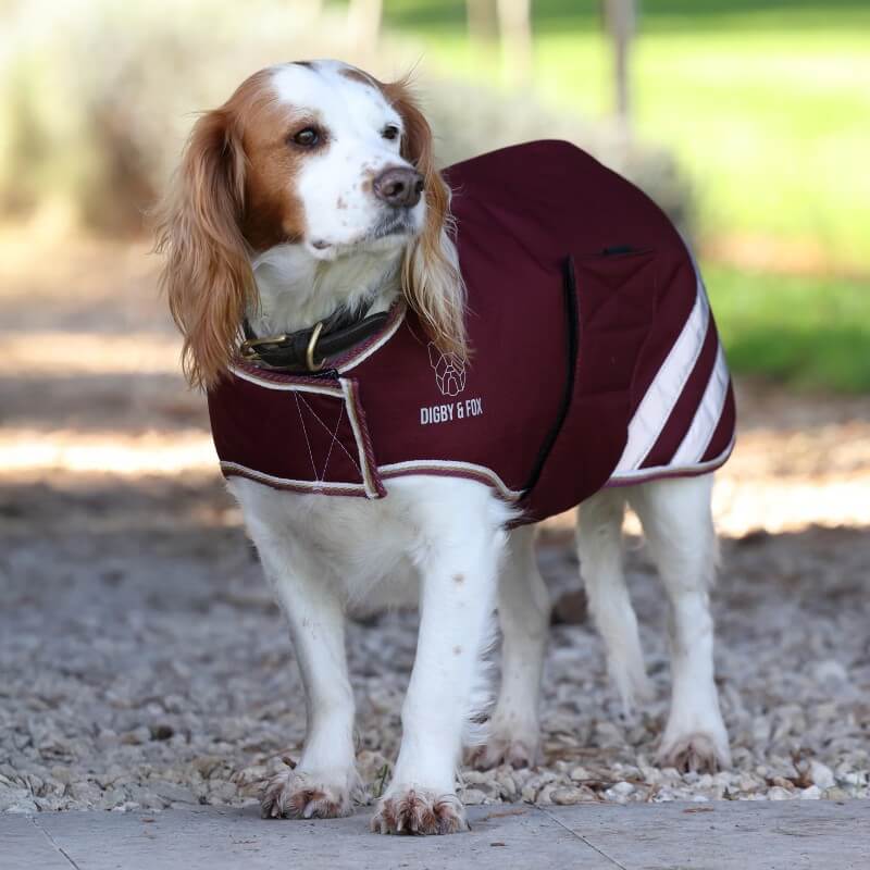 Digby &amp; Fox Waterproof Dog Coat Maroon