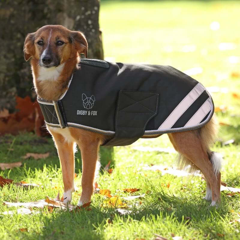 Digby &amp; Fox Waterproof Dog Coat Green
