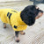 Happy Pet Quilted Classic Dog Coat Mustard