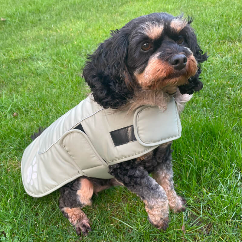 Happy Pet Paw Print Dog Jacket Sage Green