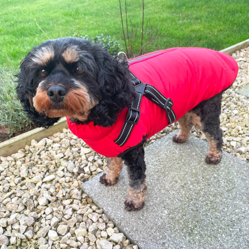 Happy Pet Red Harness Dog Jacket