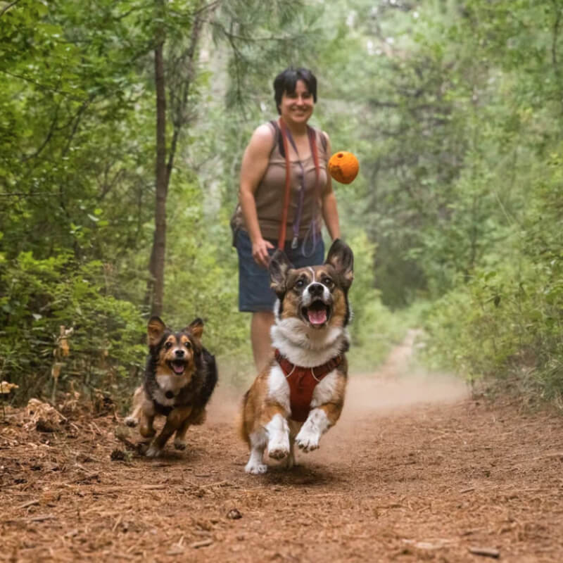 Ruffwear Turnup Toy Campfire Orange