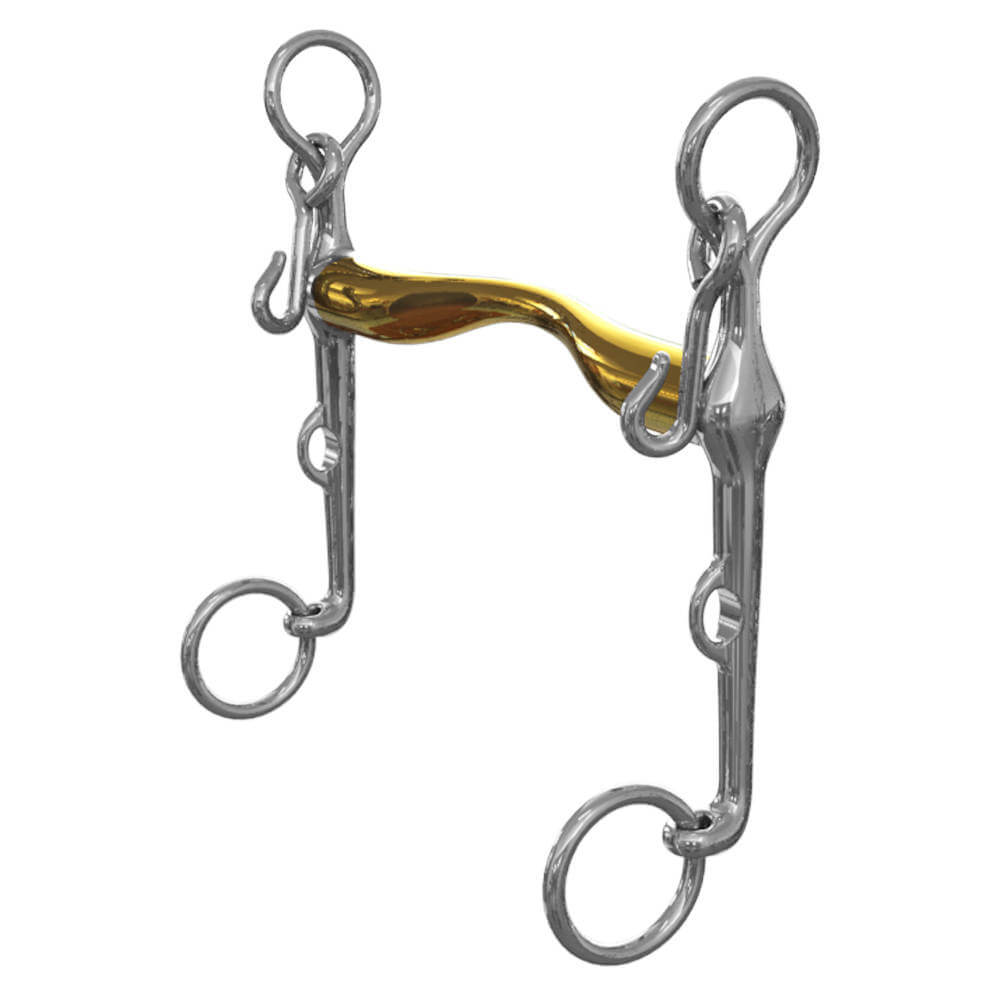Neue Schule Aachen Weymouth: Metal ergonomic bit with silver shanks, curved gold mouthpiece.