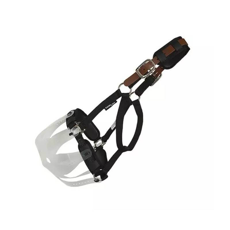 ThinLine Breakaway Halter in black/brown with white plastic grazing muzzle attached.