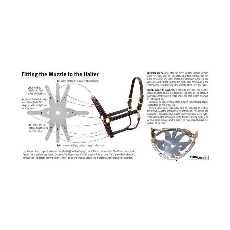 Diagram showing how to attach the ThinLine Flexible Filly Grazing Muzzle with labeled steps.