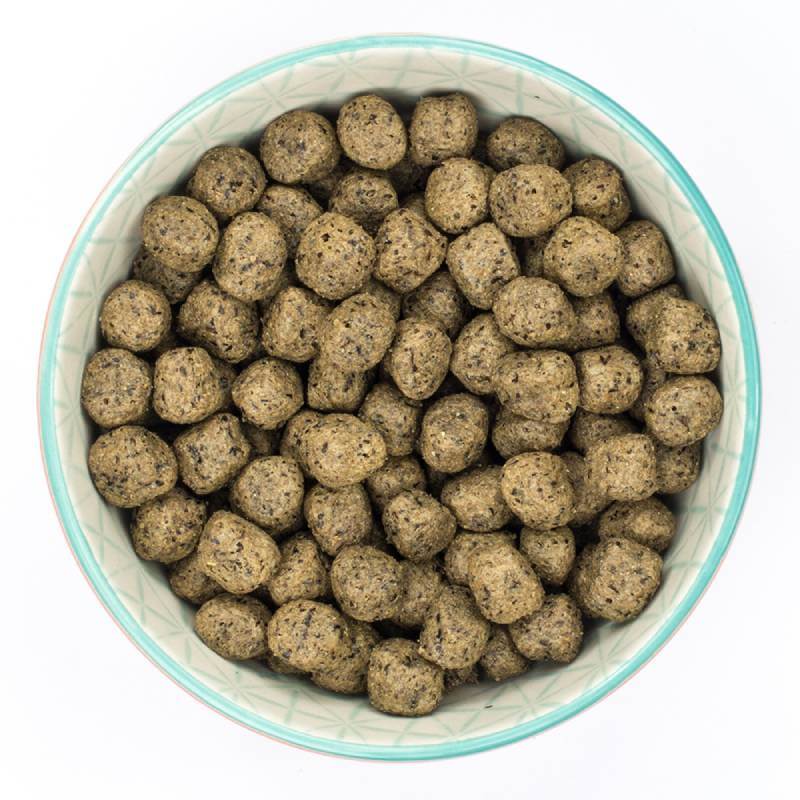 A bowl of Burns Sensitive Grain Free Turkey &amp; Potato dog food kibble viewed from above.