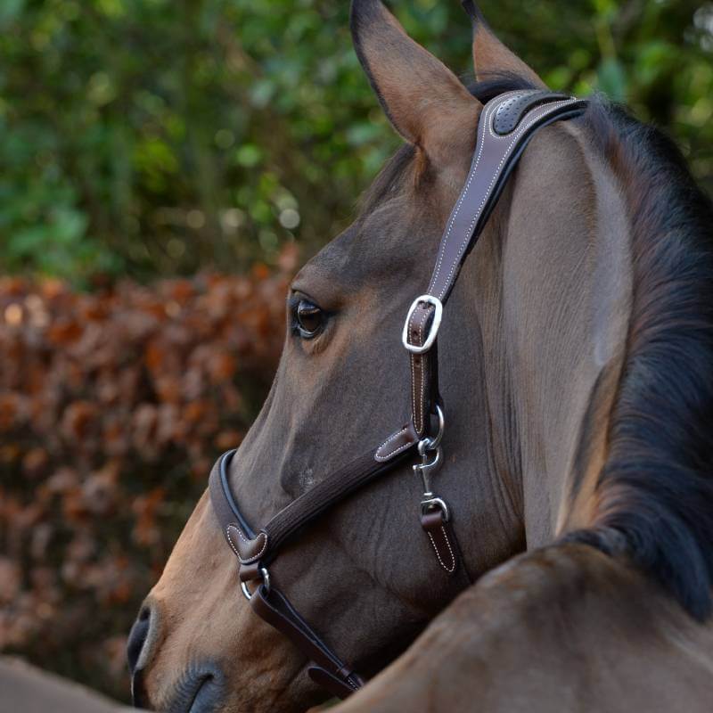 Collegiate Comfitec Leather Headcollar Brown-Pet n Pony-Collegiate