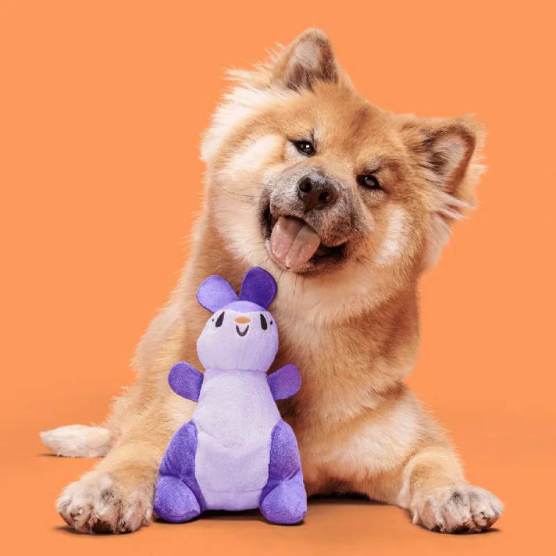 Dog with tongue out sits behind BARK Topanga Kanga Dog Toy by BARK on an orange background.