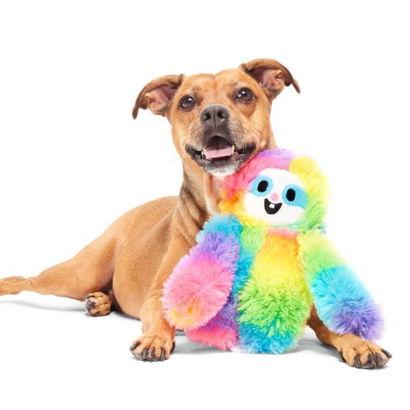 Brown dog with BARK Good Vibes Gary Dog Toy by BARK on a white background.