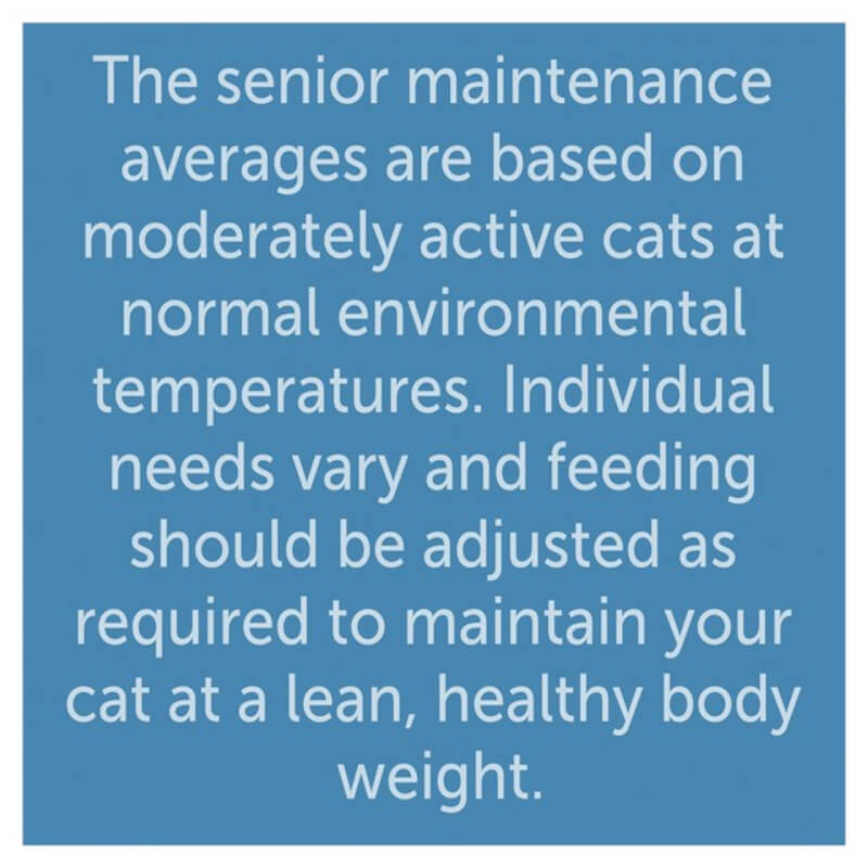 Felix Original Senior 7+ Mixed Selection in Gravy Wet Cat Food 12x85g-Pet n Pony-Felix