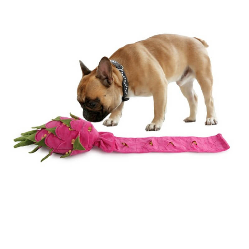 A French Bulldog sniffs the All For Paws Dig It Dragon Fruit Puzzle Toy by All For Paws.
