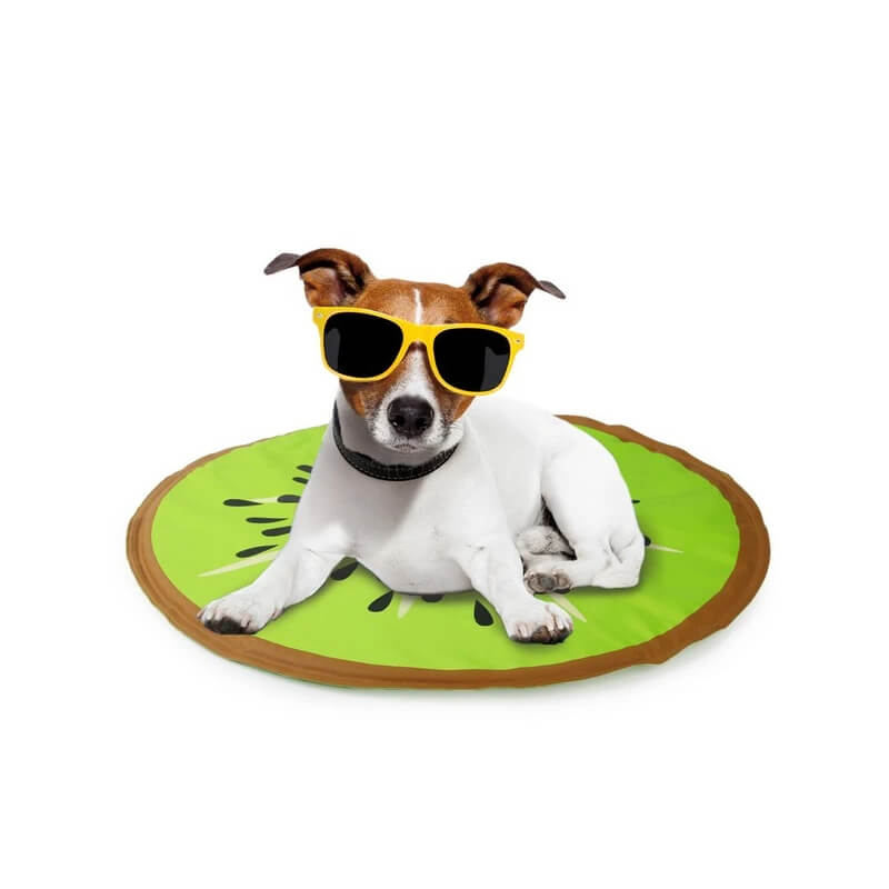 Small dog in yellow sunglasses relaxing on All For Paws Chill Out Kiwi Cooling Mat.