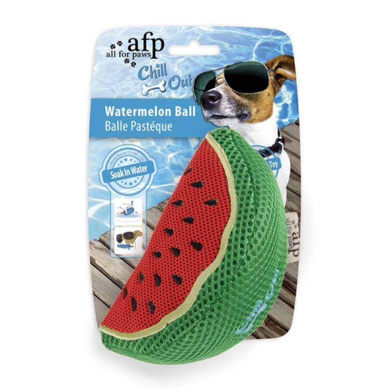 All For Paws Chill Out Watermelon Slice dog toy in packaging with a dog in sunglasses.