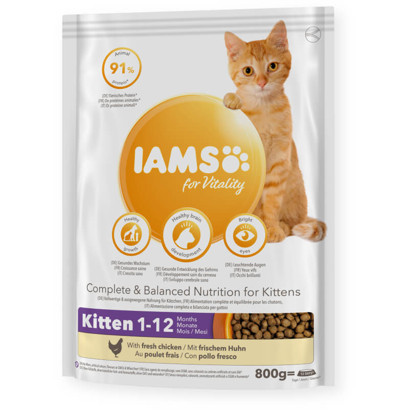 Iams Cat Vitality Kitten Chicken 800g bag with an orange kitten and product details on front.