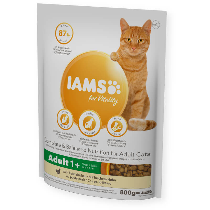Orange cat with Iams Cat Vitality Adult Chicken 800g cat food.