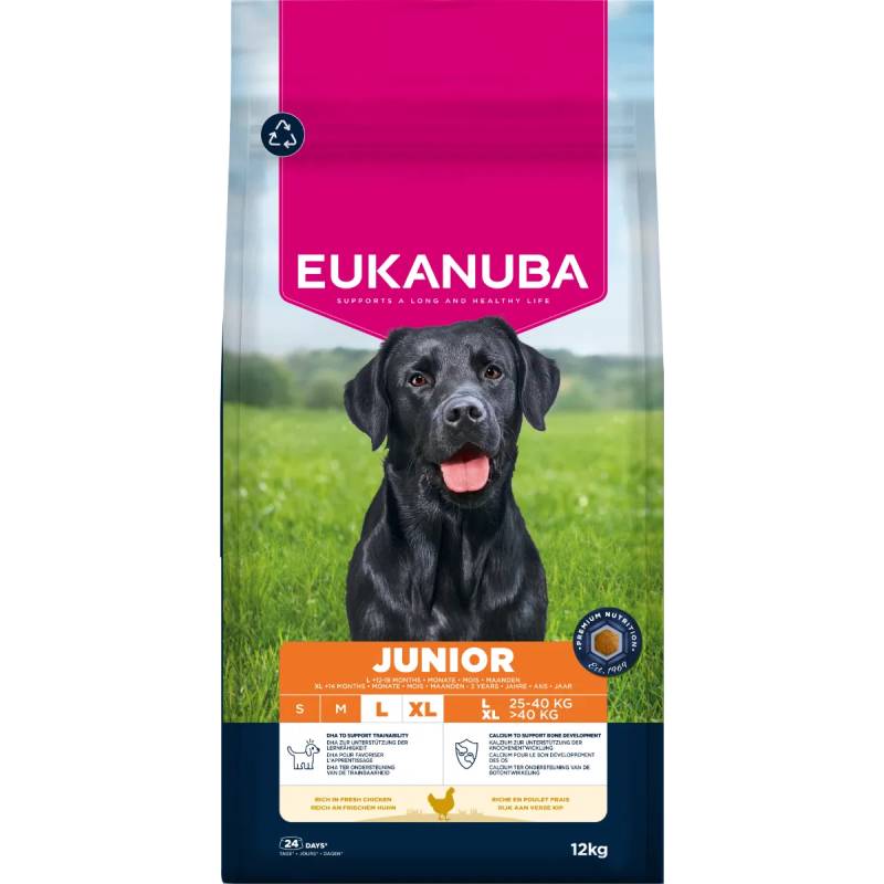 Eukanuba Junior Large Chicken 12kg dog food for puppies, featuring a black labrador.