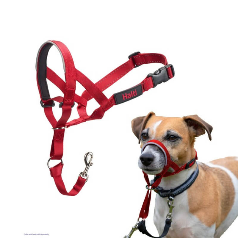 A dog wearing a Halti Headcollar by Halti, with the collar also shown separately above.