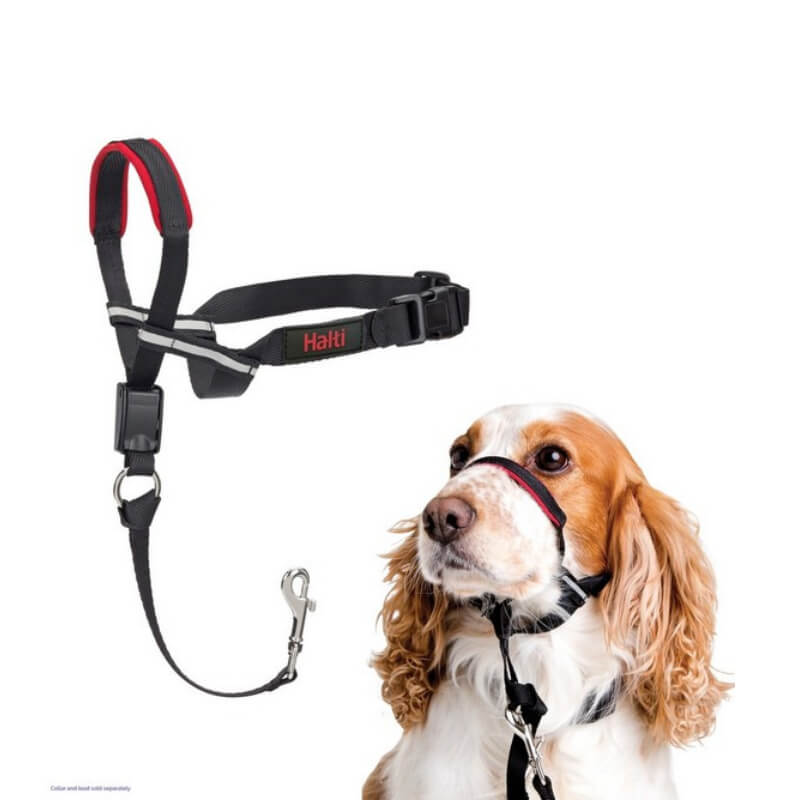 A dog wears a Halti Optifit Headcollar by Halti, as shown above in black and red.