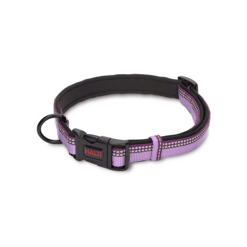 Halti Comfort Dog Collar in purple/black with buckle, D-ring, and neoprene padding.