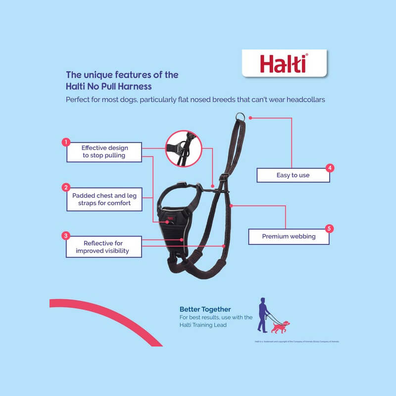 Company of Animals Halti No Pull Harness with labeled anti-pull features on a blue background.