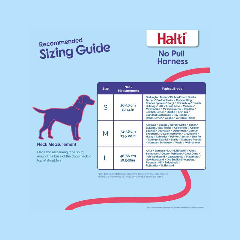 Halti No Pull Harness sizing chart with dog illustration from Company of Animals.