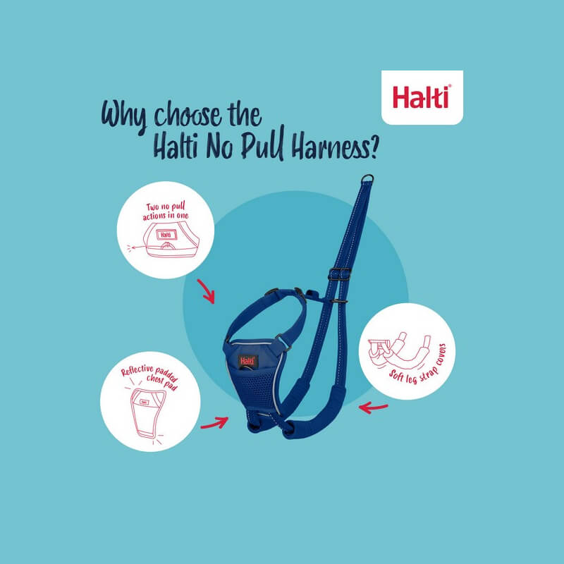 Halti No Pull Harness Cobalt Blue, by Halti, offers key features for easy dog walking.