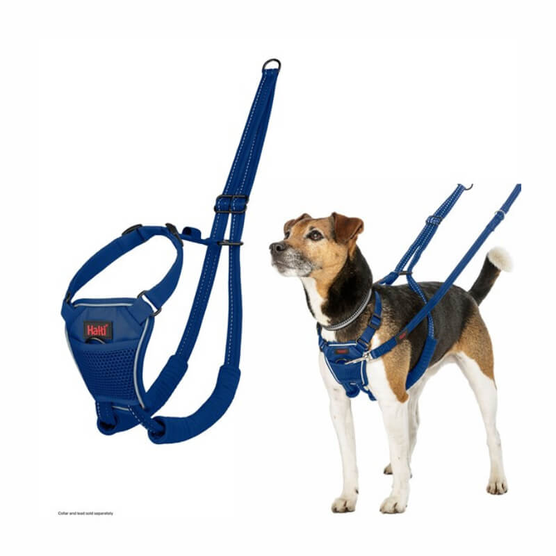 Halti No Pull Harness Cobalt Blue by Halti shown on a small brown, black, and white dog.