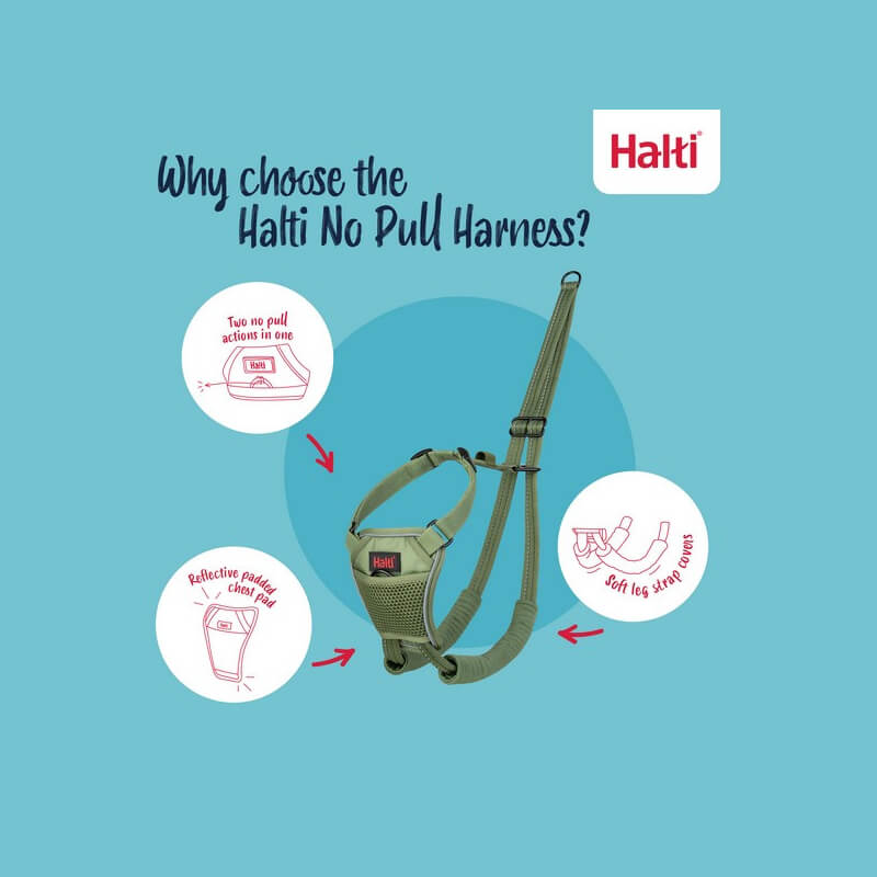 Halti No Pull Harness Forest Green for dogs, features shown on a blue background.