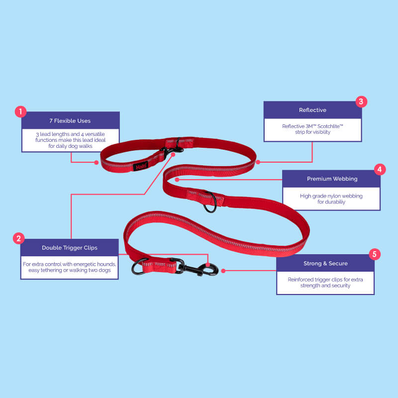 Halti Double Ended Lead Purple with metal clips, adjustable sections, and reflective details.
