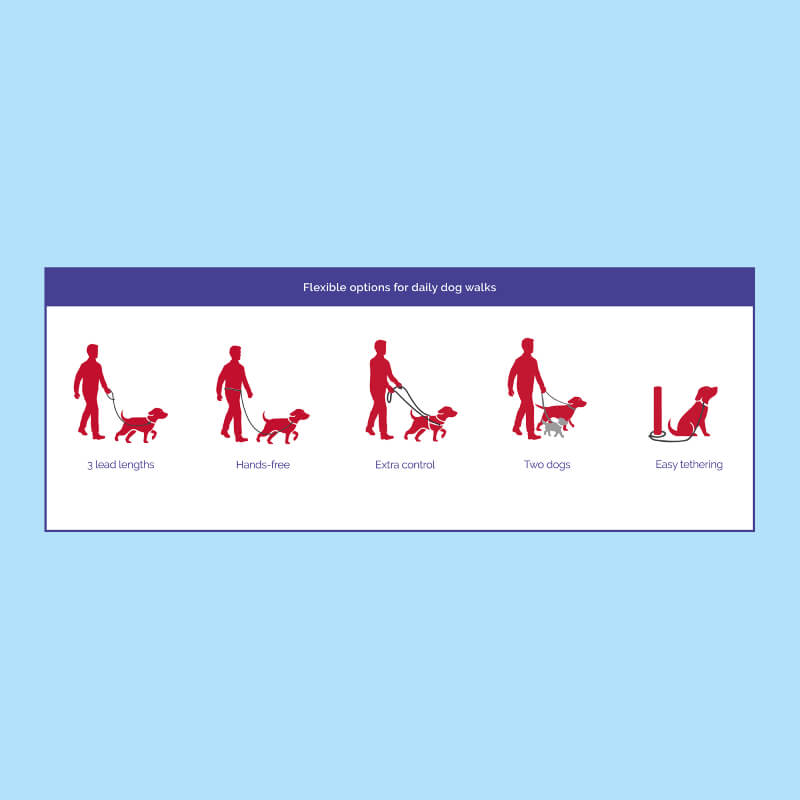 Five icons show flexible dog walking with the Halti Double Ended Lead Purple for control and safety.
