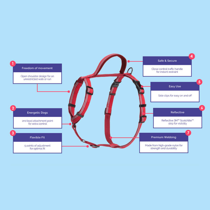 Halti Walking Harness in red with feature labels shown on a blue background.