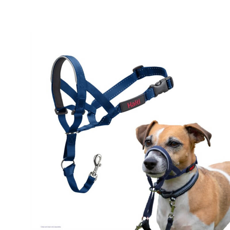 Halti Headcollar Cobalt Blue by Halti, shown solo and on a brown-and-white dog for no-pull training.