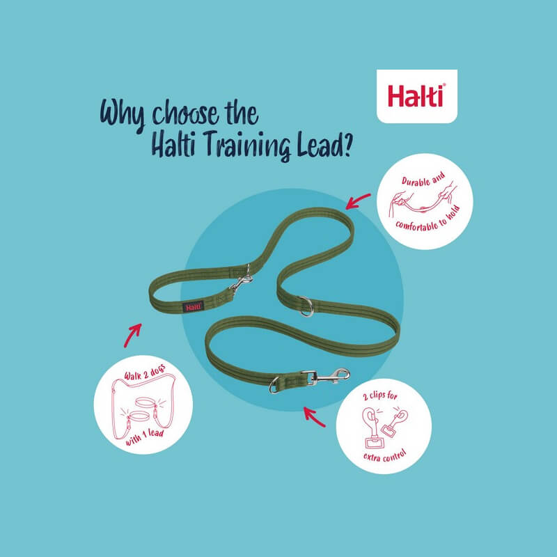 Halti Training Lead Forest Green with features on blue and Halti branding text shown.