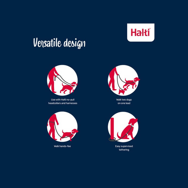Four icons show dog walking with Halti Training Lead Forest Green and no-pull support on dark blue.