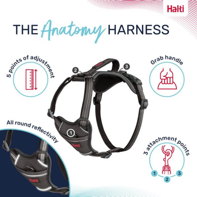 Halti Anatomy Harness Grey: adjustable dog harness with grab handle, reflectivity, 3 points.