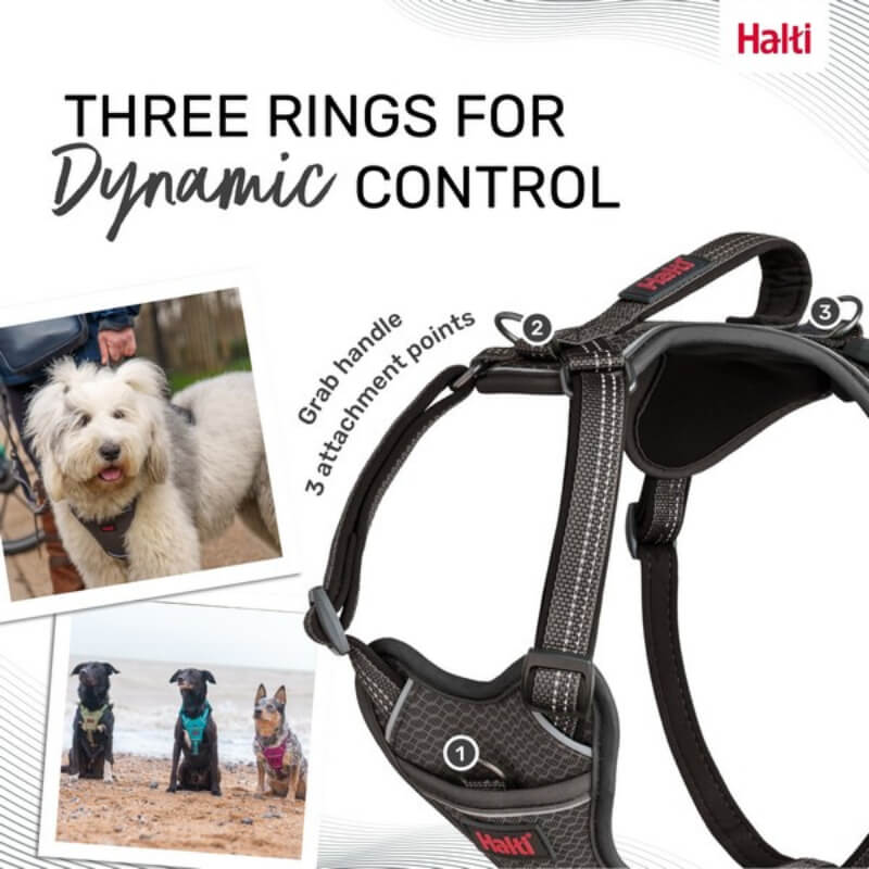 Halti Anatomy Harness Grey by Halti: three rings, grab handle, ergonomic fit for outdoor dogs.
