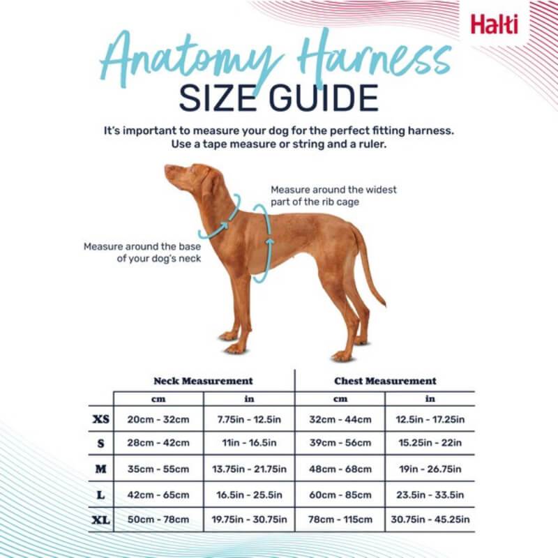 Halti Anatomy Harness Grey size guide chart with illustration of neck and chest measuring points.