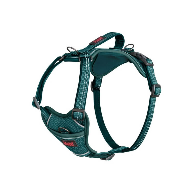 Halti Anatomy Harness Teal by Halti, adjustable with handle, shown on a white backdrop.