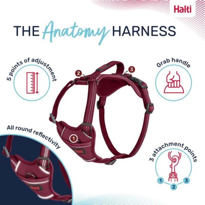 Halti Anatomy Harness Magenta: adjustable dog harness with handle and reflective details.