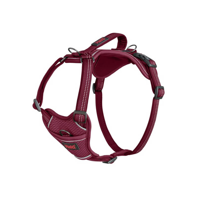 Halti Anatomy Harness Magenta with padded chest and adjustable straps on a white background.