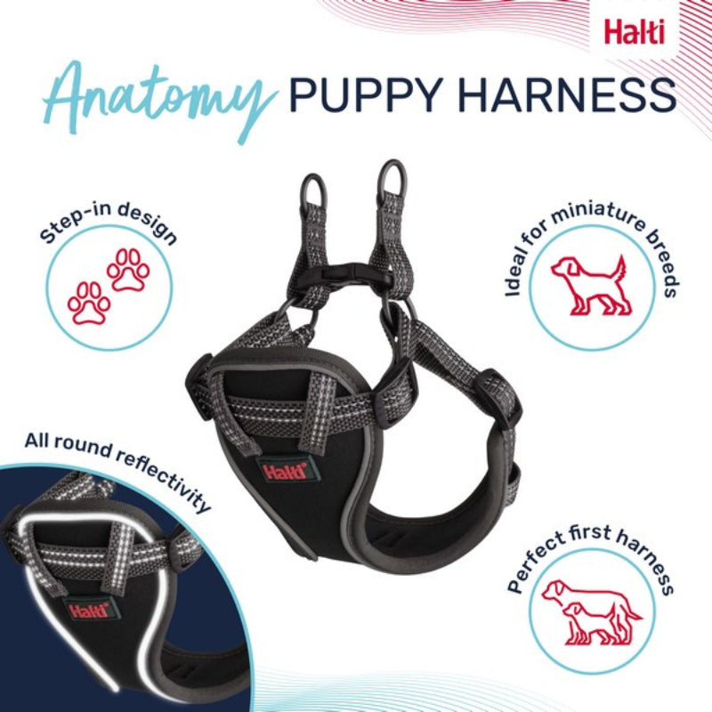 Halti Anatomy Puppy Harness Grey with adjustable straps shown on a white background.