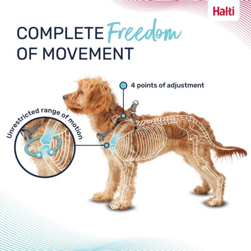 Puppy in a Halti Anatomy Puppy Harness Grey with overlay showing skeletal movement and adjustments.