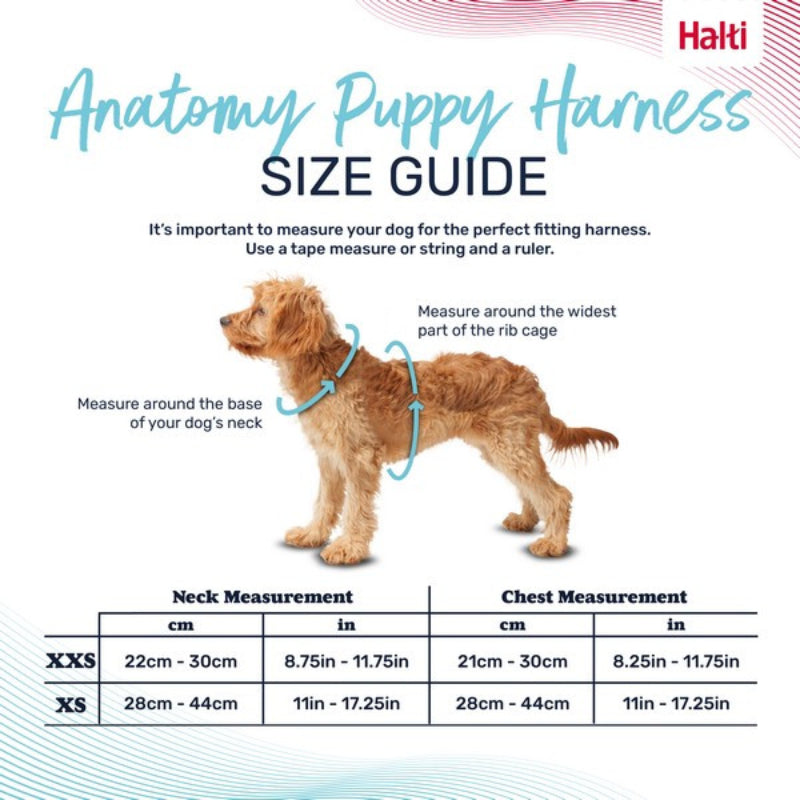 Grey Halti Anatomy Puppy Harness, includes measuring guide and size chart.