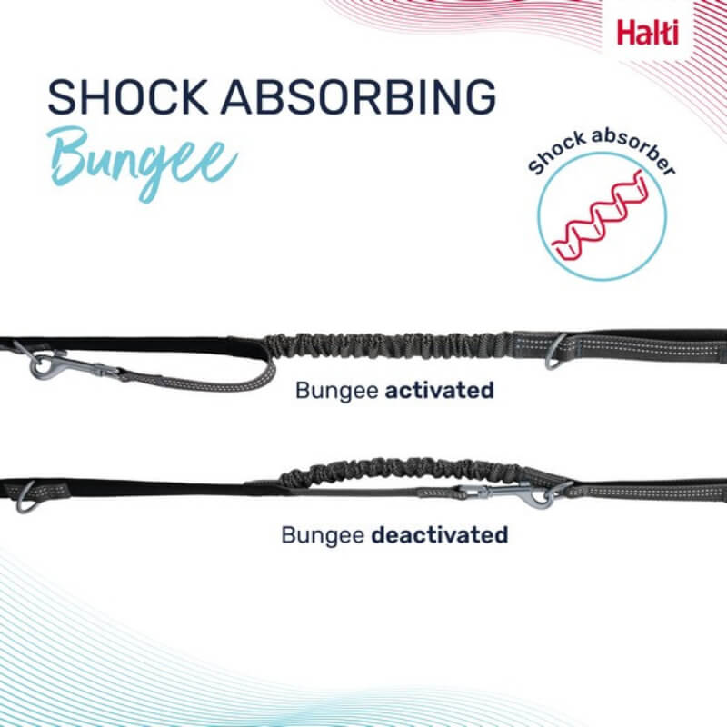 Halti Anatomy Multi Lead Grey by Halti with multiple rings and clips on a white background.