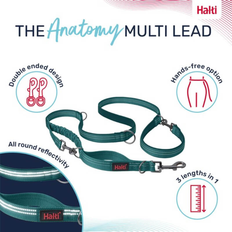 Halti Anatomy Multi Lead Teal with metal clips on a white background.