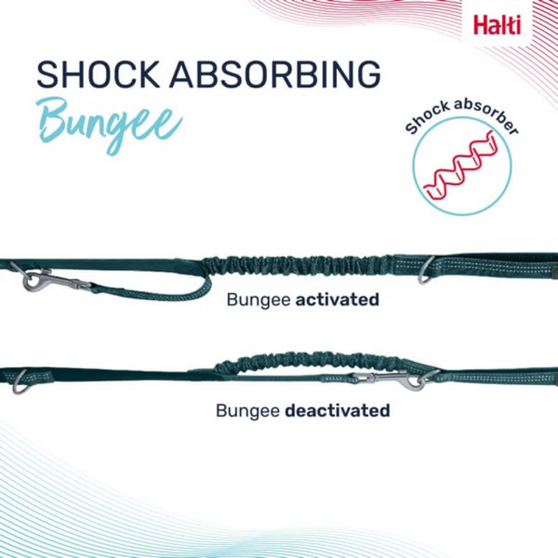 Halti Anatomy Multi Lead Teal demonstrates effective shock absorption with its bungee system.