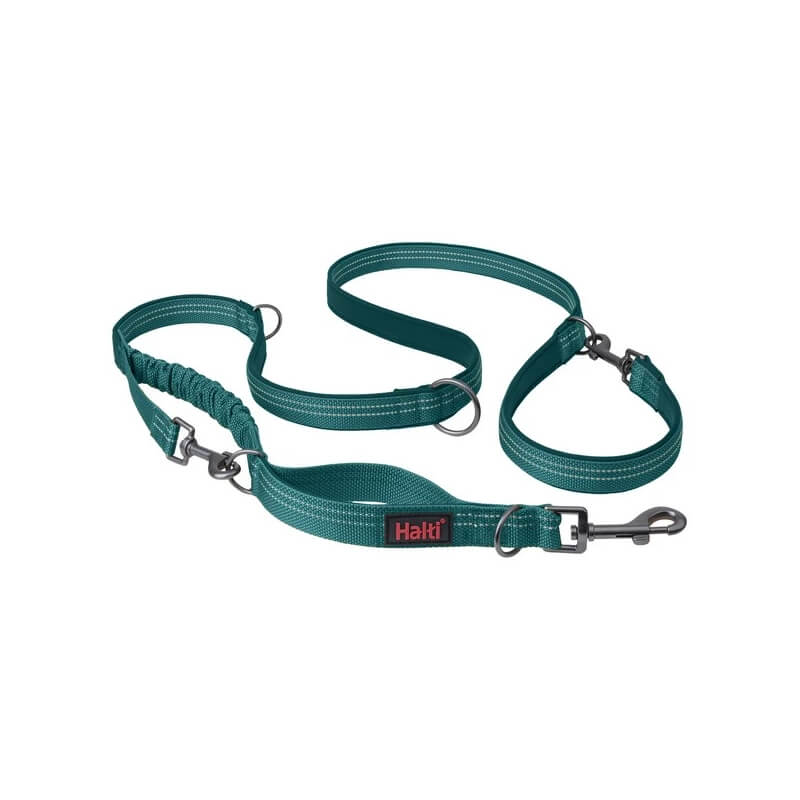 Halti Anatomy Multi Lead Teal with metal clips on a white background.
